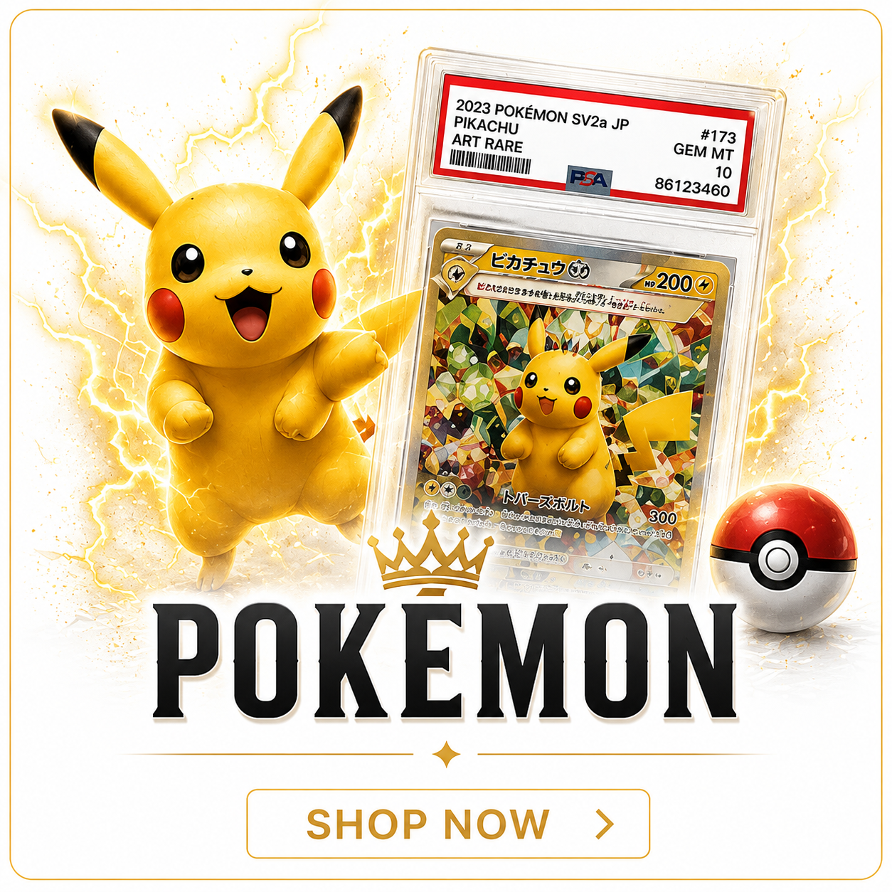 Pokémon Singles